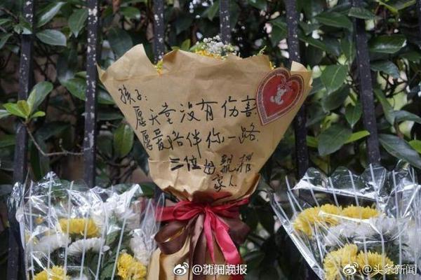 申花赛后谢场时，河南队球迷高喊：申花是冠军、上海只有申花队